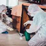 bed bug treatment