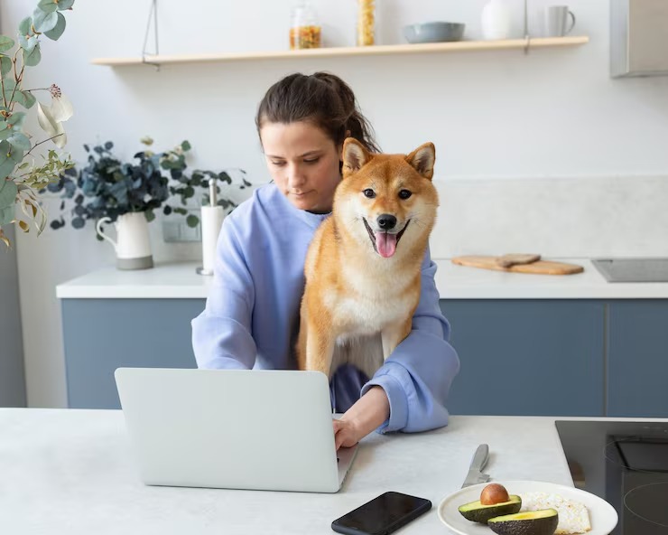 Pet Grooming Software