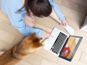 Pet Grooming Software